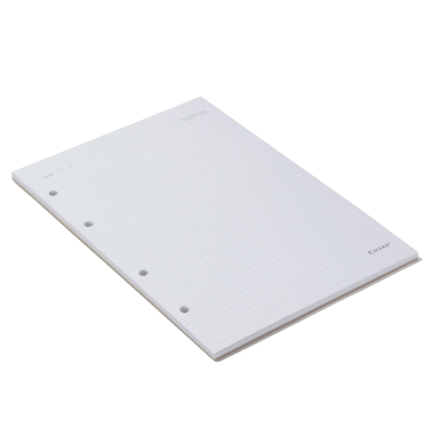 Refil Caderno Argolado 40FLS -Offset 90g 17x24 Pontado