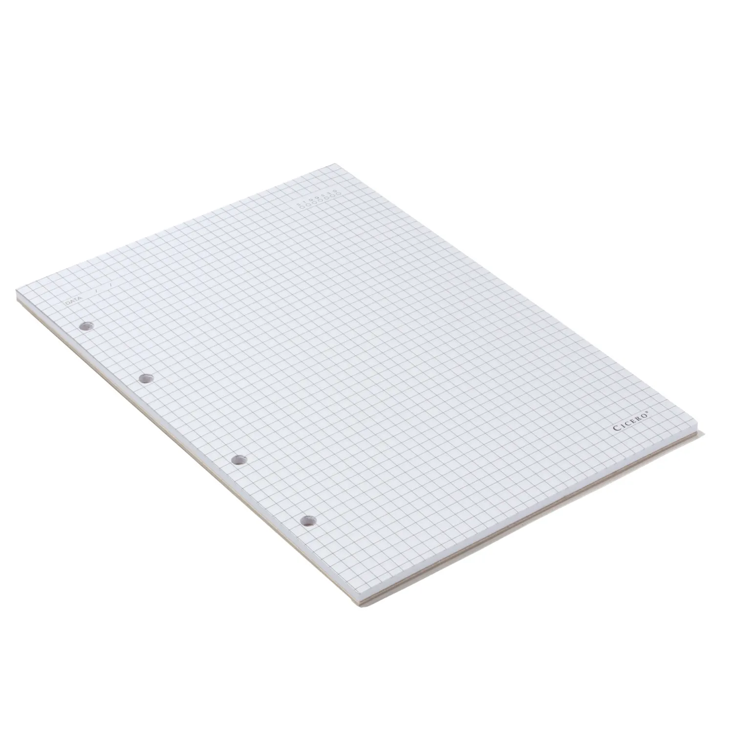 Refil Caderno Argolado 40FLS Offset 90g 17x24 Quadriculado
