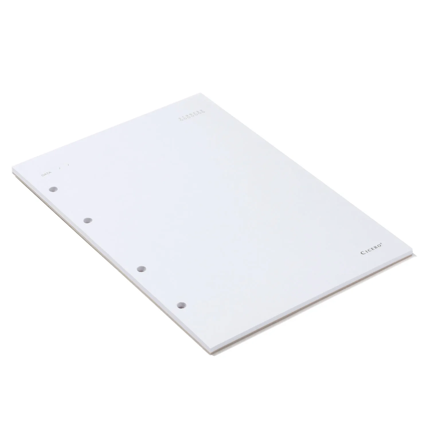 Refil Caderno Argolado 40FLS Offset 90g 17x24 Sem Pauta
