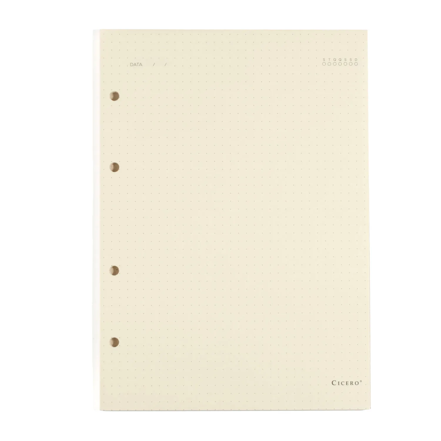 Refil Caderno Argolado 40FLS Polen 80g 17x24 Pontado