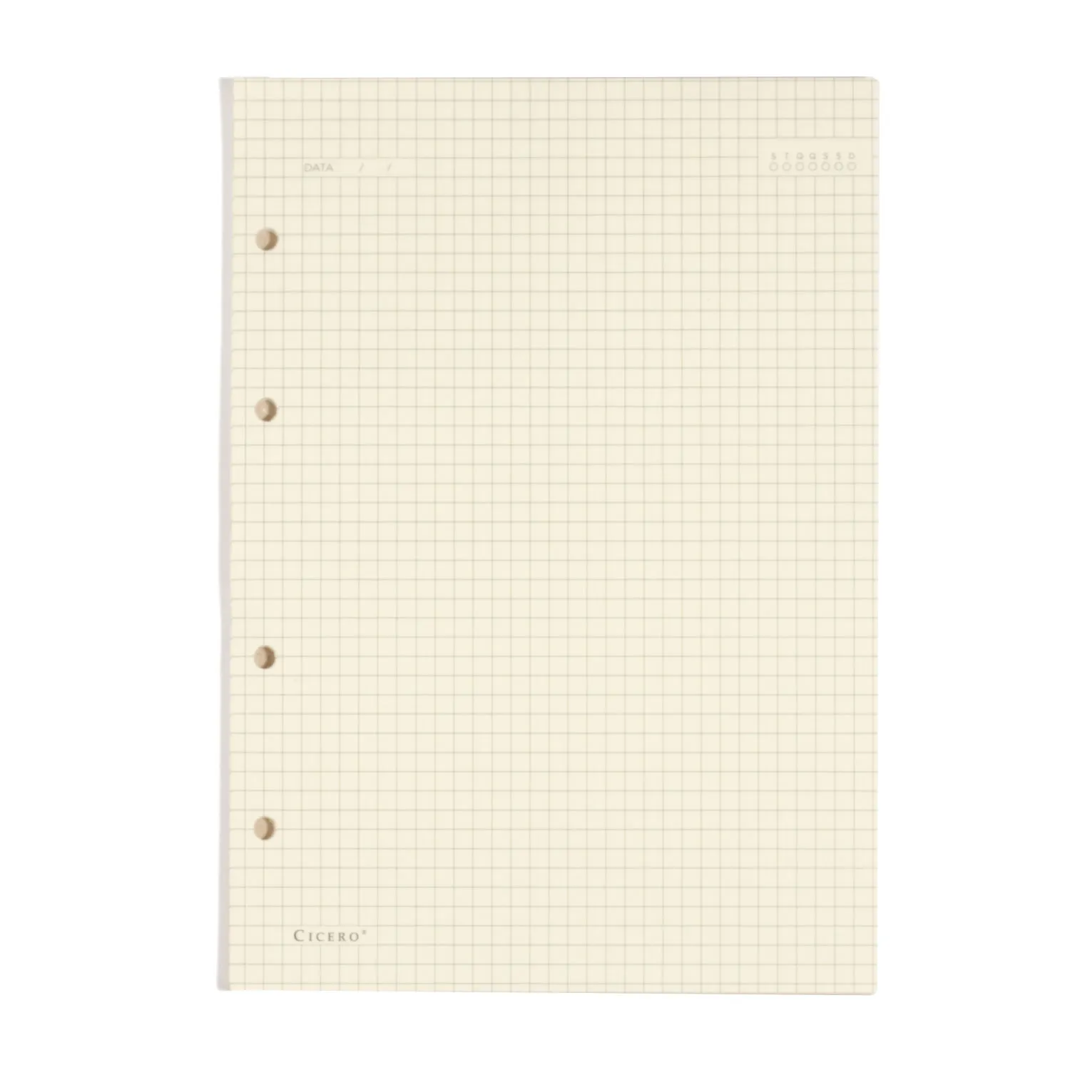 Refil Caderno Argolado 40FLS Polen 80g 17x24 Quadriculado