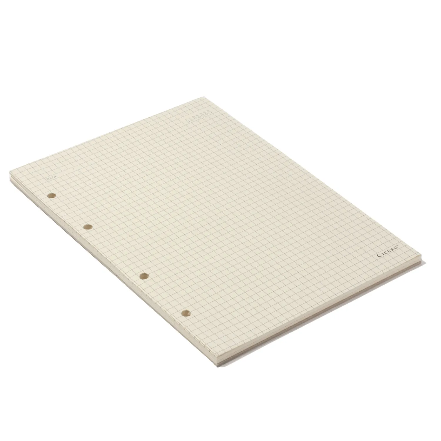 Refil Caderno Argolado 40FLS Polen 80g 17x24 Quadriculado