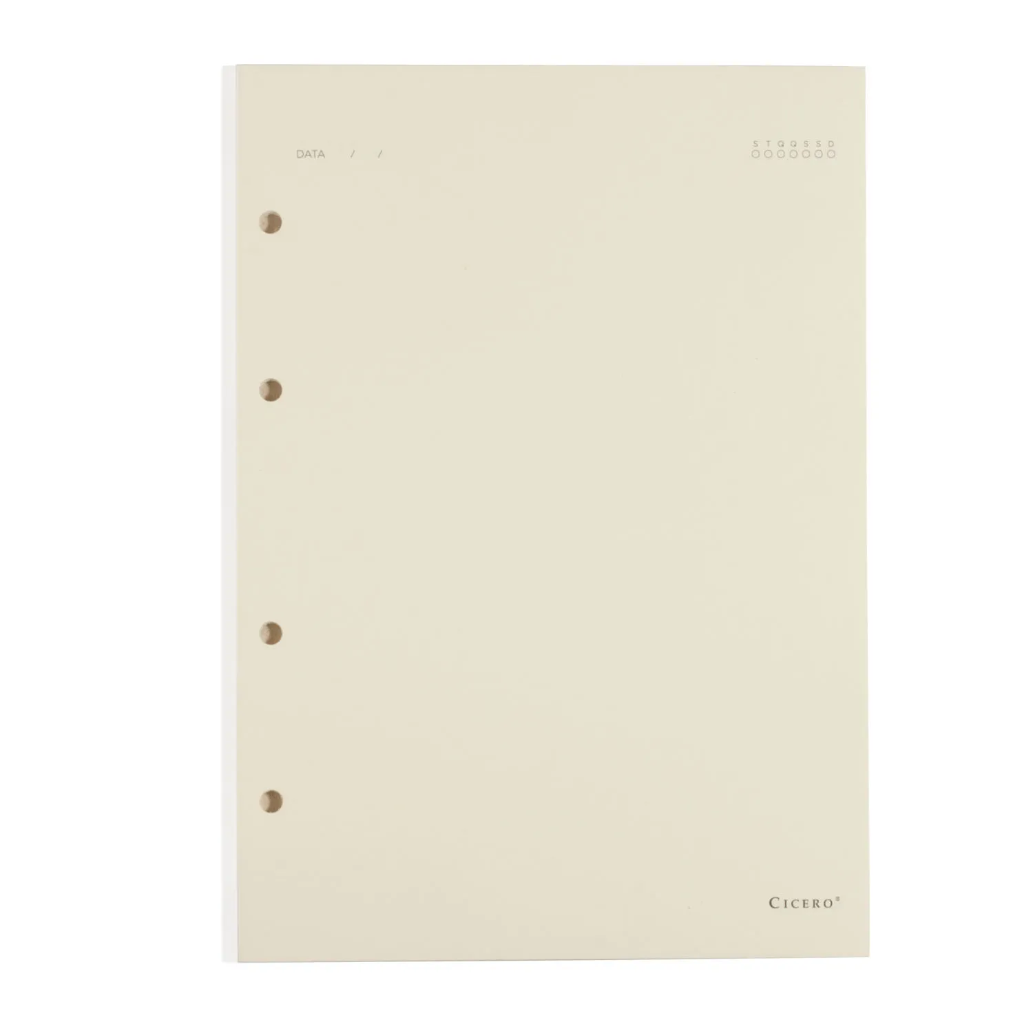 Refil Caderno Argolado 40FLS Polen 80g 17x24 Sem Pauta