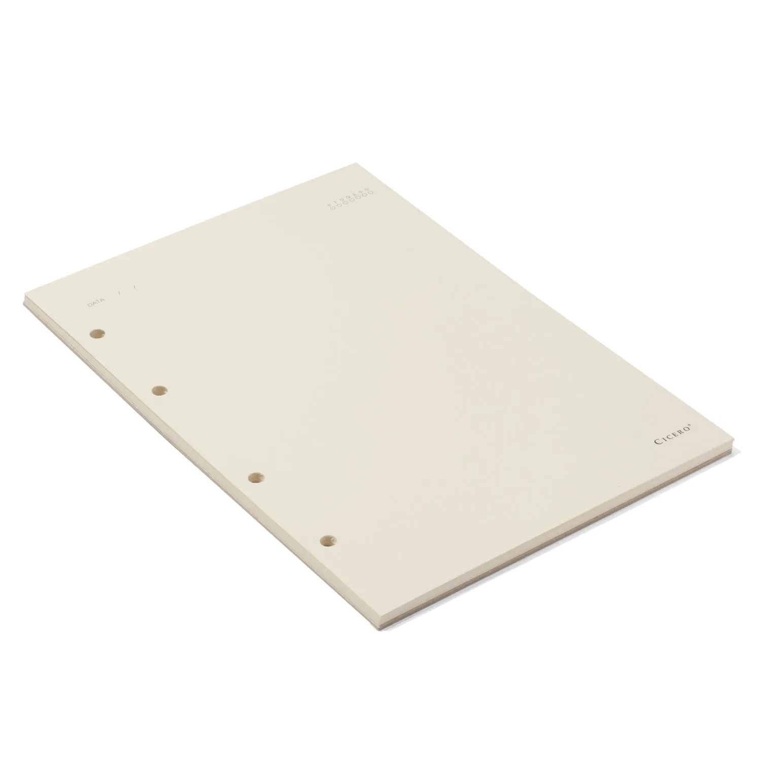 Refil Caderno Argolado 40FLS Polen 80g 17x24 Sem Pauta