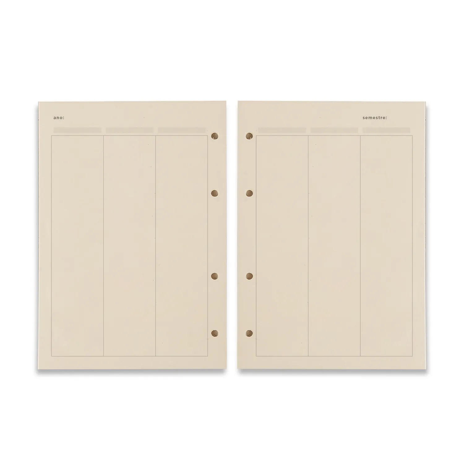 Refil Caderno Argolado 88FLS Polen 80g 17x24 Planner