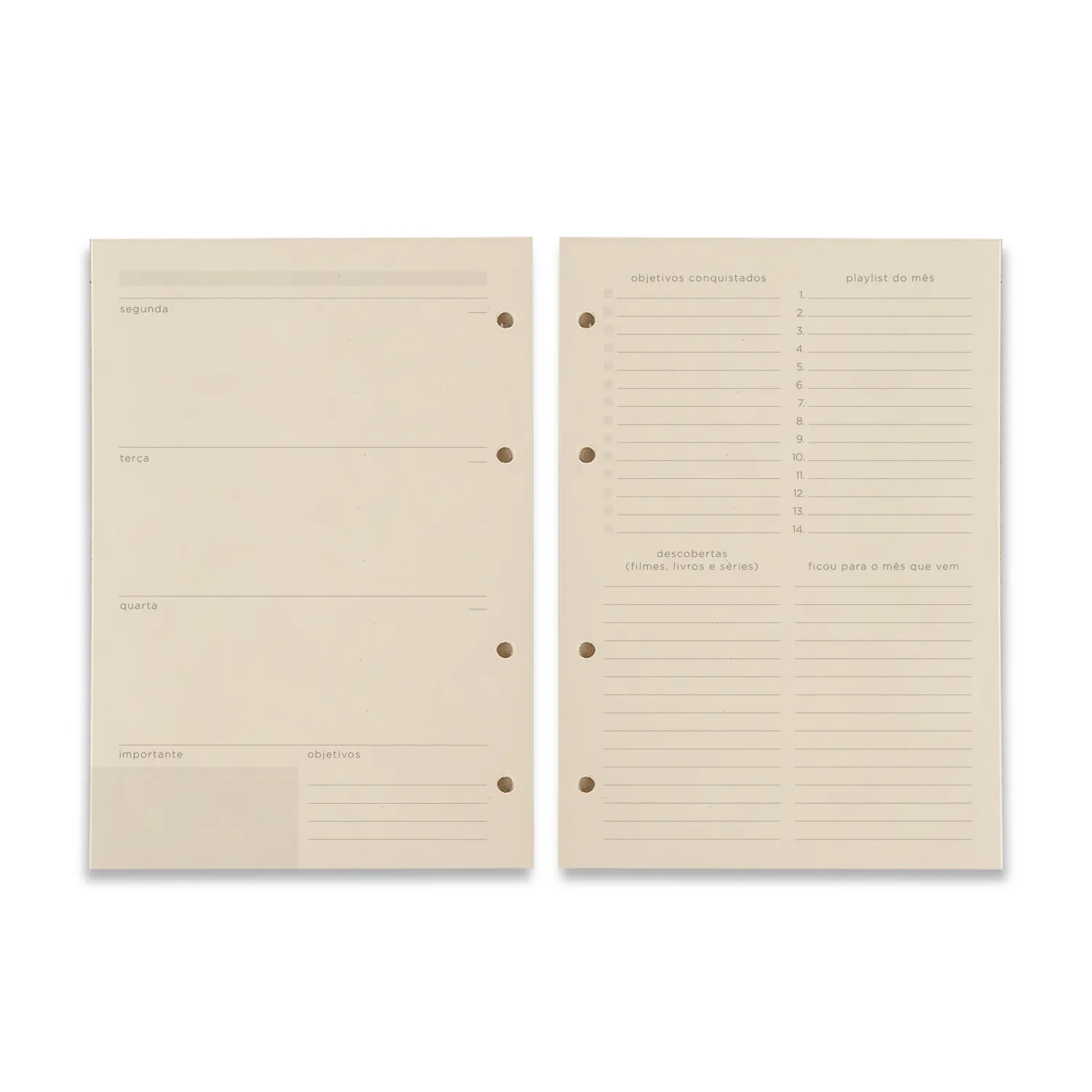 Refil Caderno Argolado 88FLS Polen 80g 17x24 Planner