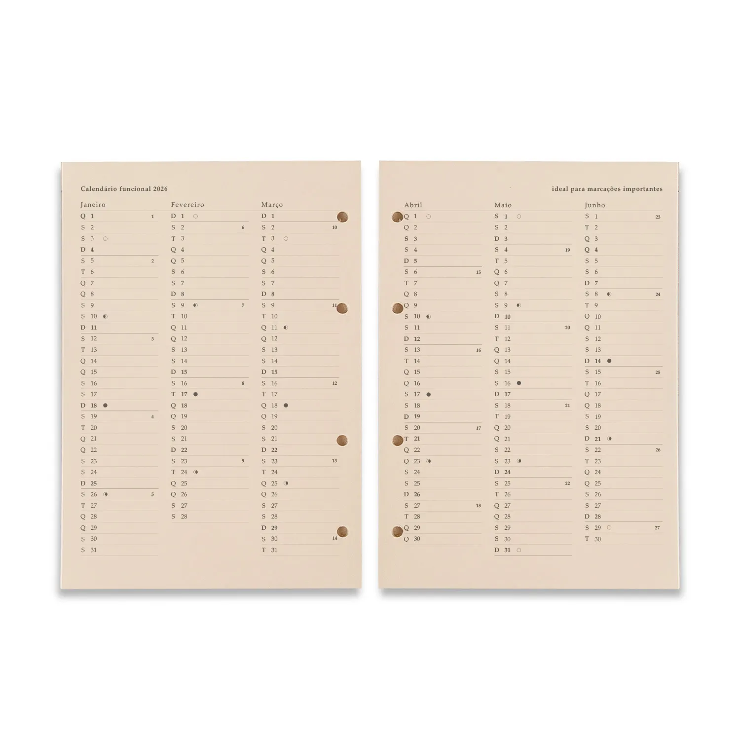 Refil Caderno Criativo Argolado 88 Fls Pólen 80G Agenda Planner 2026 Semanal 17X24