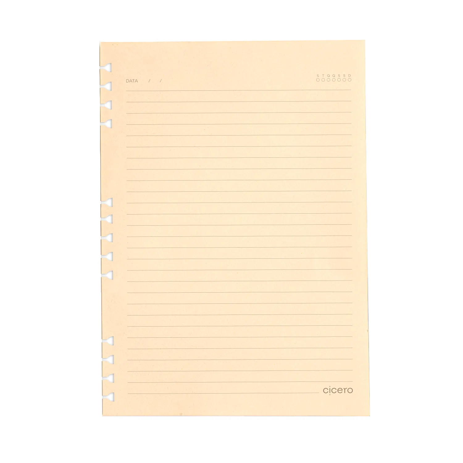 Refil Caderno Organizador 40 Fls Pólen 90G Pautado 17X24